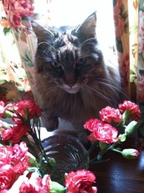 Chuffin flower power