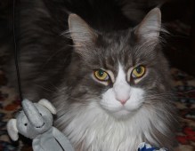 Murdoch selfie with his new toy