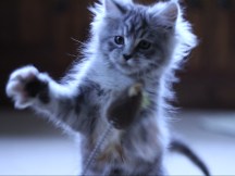 A spot of ninja training