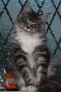 Mind if I join you in the bath?