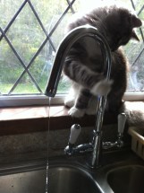 Who knew taps could be so much fun?