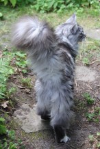 A Magnificent Pair of Fluffy Trousers