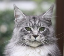 Disgusted...but slightly impressed