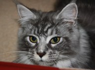 Is anybody awake yet?