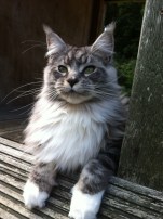 A big smile for the camera