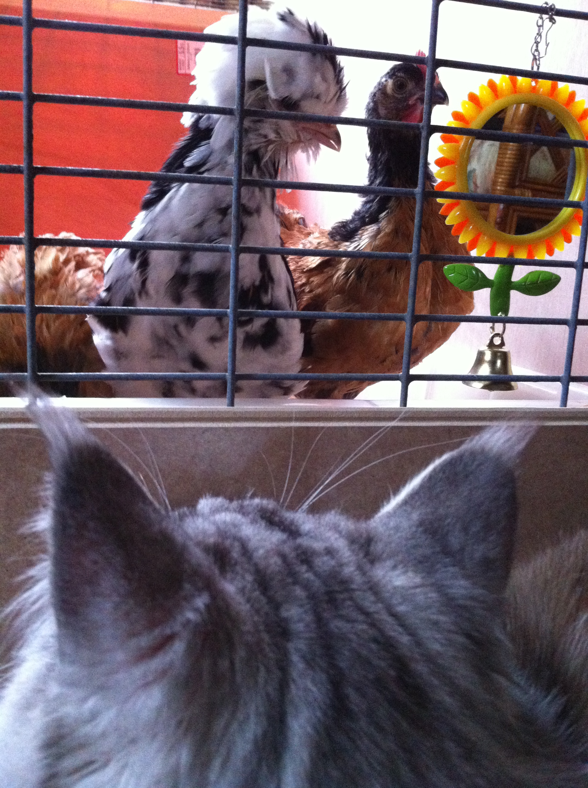Marlon and Clive having a chat with Gloria