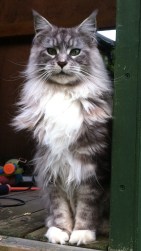 The face of disapproval